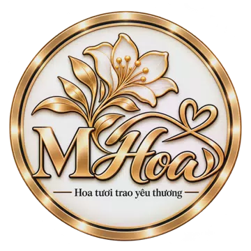 Shop hoa tươi Phường An Phong Hải Phòng - Hoa gửi trao, tình ở lại